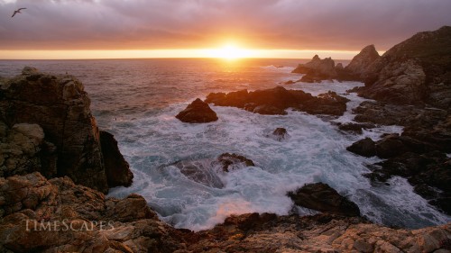 big sur